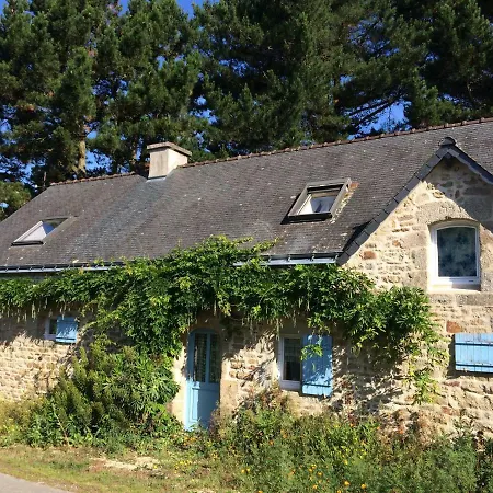 Histoire De *